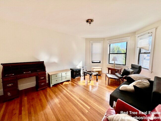 225 Chestnut Hill Ave unit 1, Boston, MA 02135 - photo 3