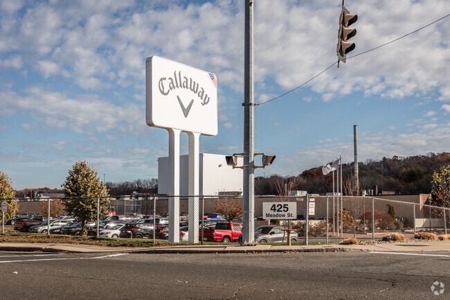 Callaway Golf Co. produces more than 200,000 golf balls in Chicopee every day.