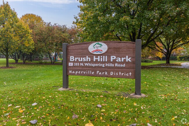 Brush Hill Park is located in the 
Brush Hill community of Naperville, IL
