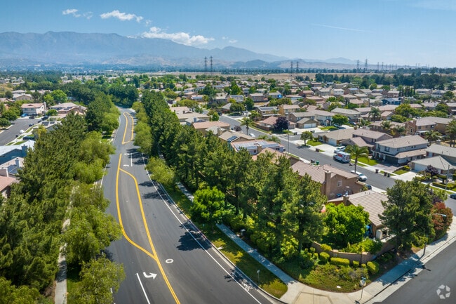 Tree-lined streets provide abundant shade in Cherry Valley.