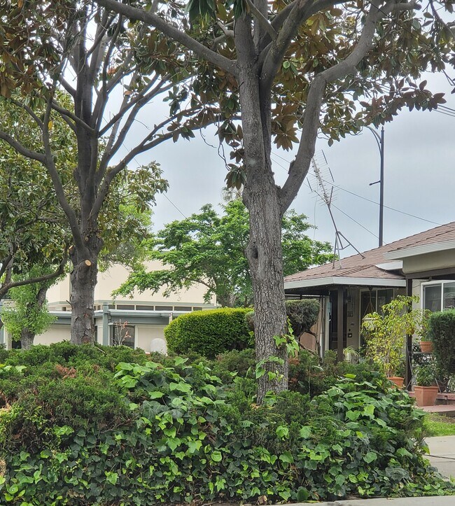 707 N 3rd St Unit 707, San Jose, CA 95112