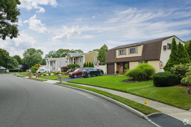 Selden's vibrant neighborhood features a line of diverse houses.