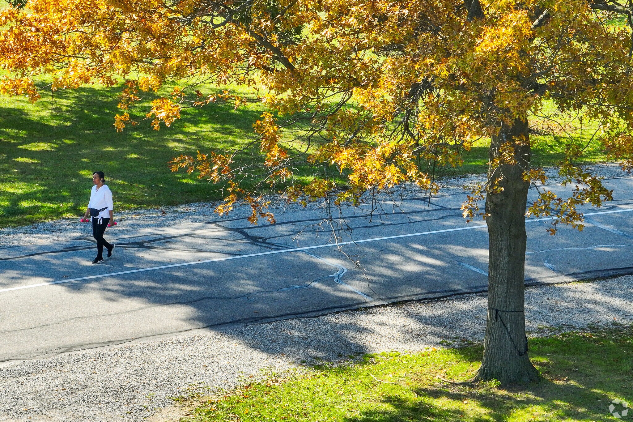 Streets are popular for walking and driving in Old Brook Farm.