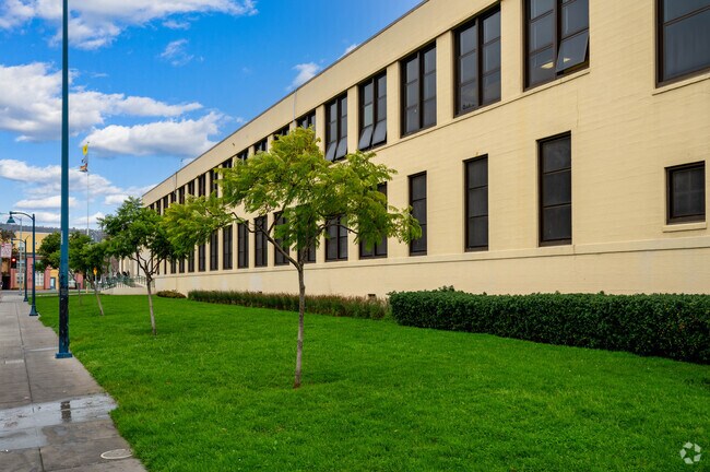 Roots International Academy offers its students a variety of course options.