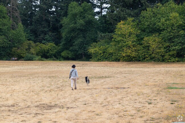 Dog walkers enjoy open fields at Pacific Park near Cimarron.