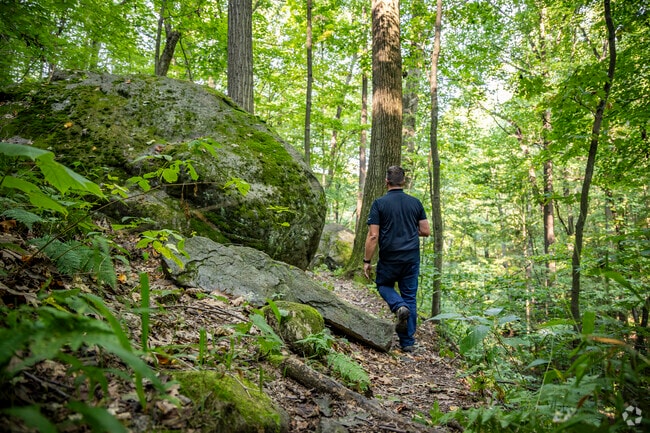 Get into nature at the nearby Gallitzin State Forest, just a few miles from West Taylor.