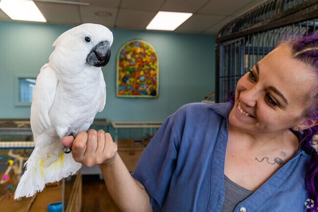 Visit Finley at Claremont Pet and Aquarium near North End.