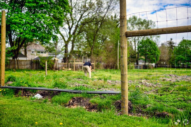 A man tends his garden in the Clifton Park Community Garden.