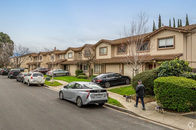 The well maintained sidewalks in Dana Estates provide a safe path for dog owners.