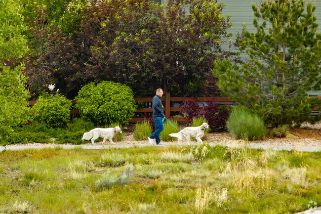 Stepping Stone provides miles of scenic trails and natural open spaces, ideal for morning jogs, dog walks, or simply soaking in Colorado’s beauty.