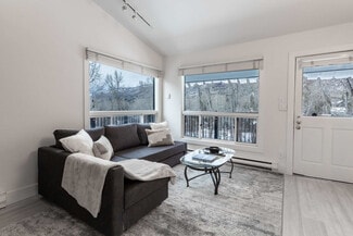 900 E Hopkins Ave Unit ID1283412P, Aspen, CO 81611