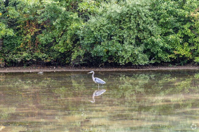 Beauty can be found in nature and all around the Greenbrier Farm neighborhood.