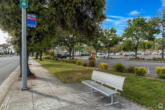 Bus stop 22 on El Camino Road has a mountain view in the Cuernavaca neighborhood.