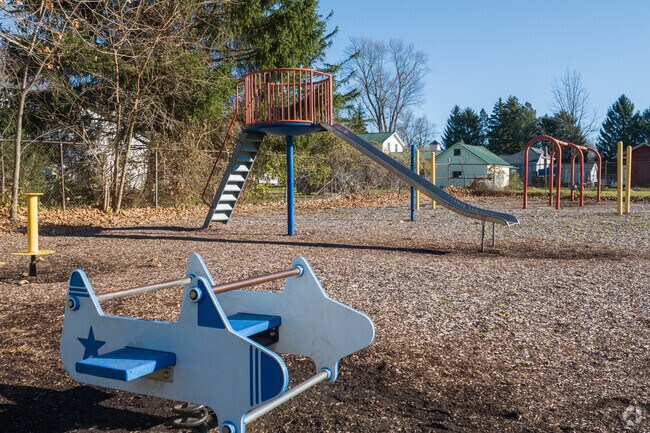 Johnson Memorial Park has a playground conveniently located next to Dansville Elementary.
