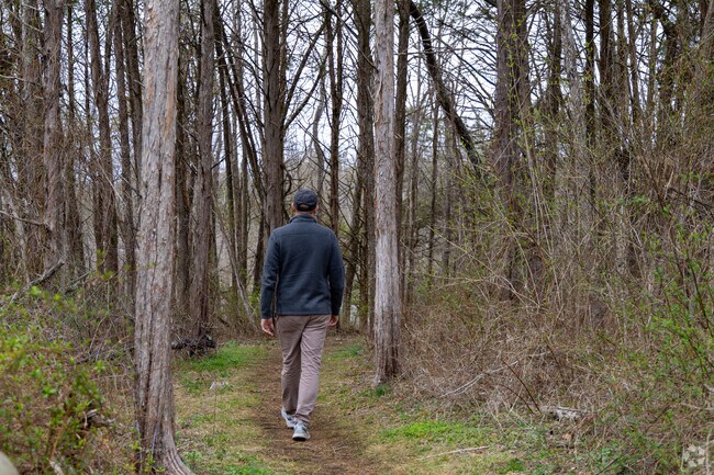 Frenchtown Preserve features hiking trails, lush landscapes, and wildlife, perfect for nature lovers and explorers.