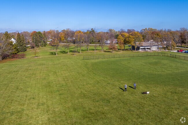 A local Fox Point open green space is a perfect place for dogs to run.