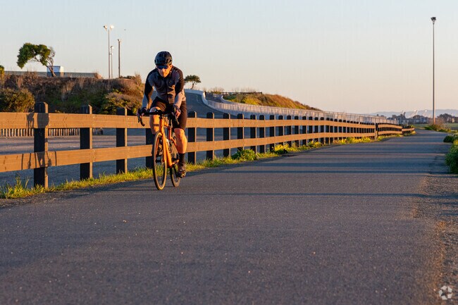 Get an adrenaline rush from high-speed cycling in Albany.
