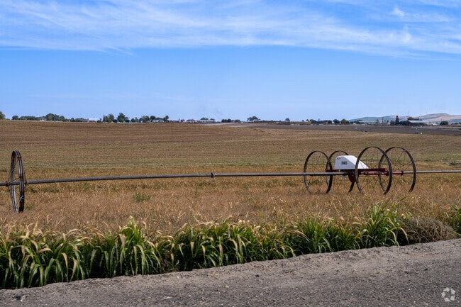 Where the Lower Yakima Valley slows down, Granger’s orchards, vineyards, and family‑run businesses define local living.
