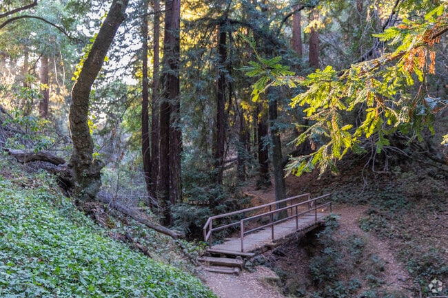 The York Trail in Crestmont has multiple old bridges that span a small seasonal creek valley.