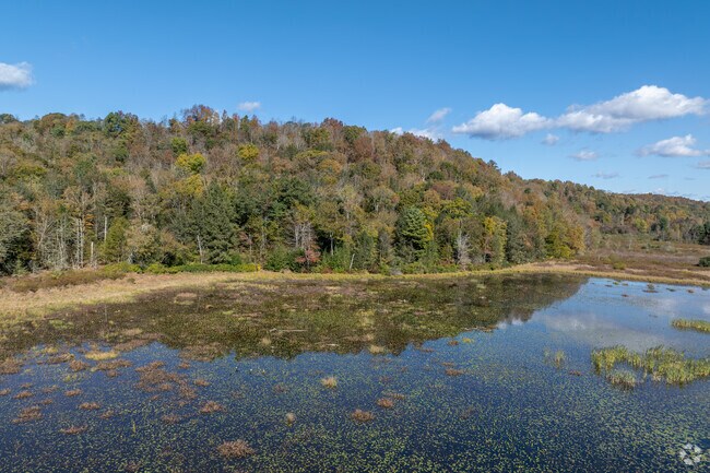 Mill Creek is a scenic neighborhood in the Williamsport area.