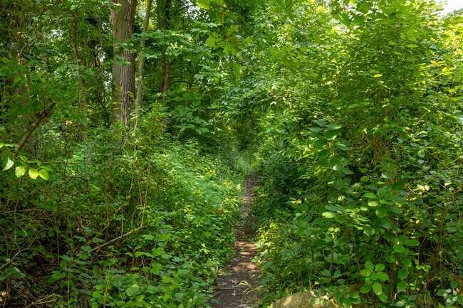 A narrow trail leads to a fishing area at Chelsea State Game Area.