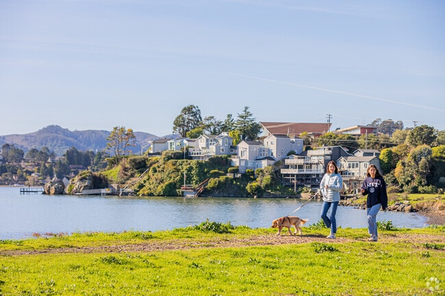 In Tiburon, friends and their dogs stroll by picturesque neighborhood homes.