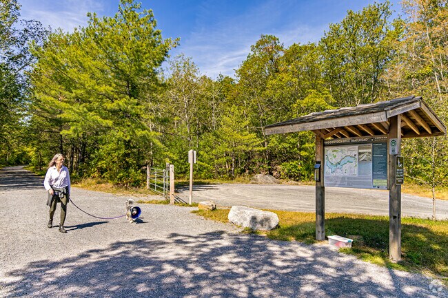 The Ashokan Rail Trail has thousands of visitors annually, making it a favorite attraction.