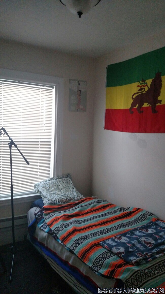 42 Hillside St unit 1, Roxbury Crossing, MA 02120 - photo 2