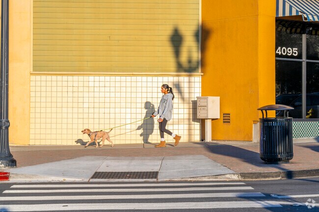 Take a stroll with your dog around the Village Square area.