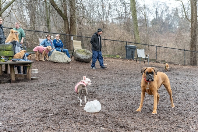 Dog owners chat while their pet explore the enclosure at Rumbrook Dog Park in Greenburgh.
