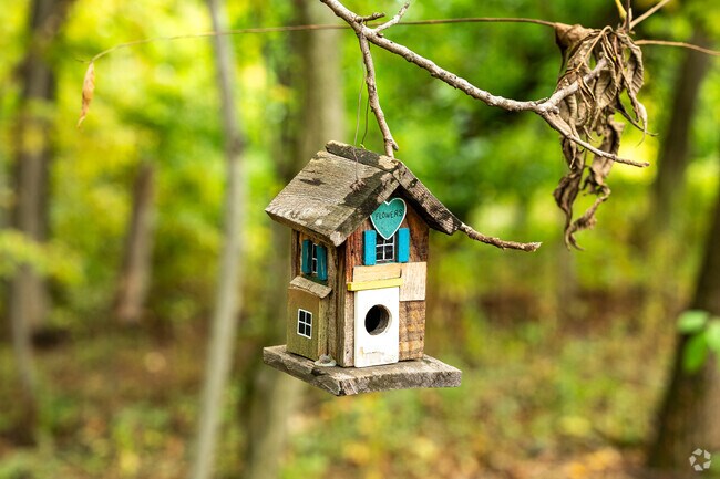 Smith Nature Park near Cranbrook has fairy houses hanging from the trees along the trail.