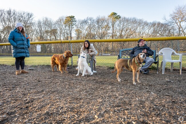 Barrington Dog Park is the perfect place for dogs in Bay Spring to play and socialize.