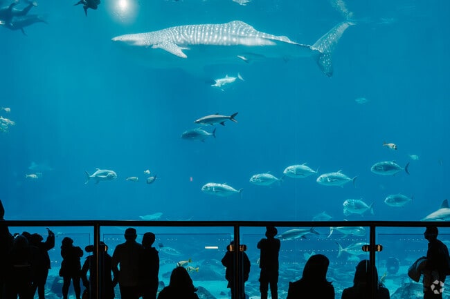Home to stunning aquatic life, the Georgia Aquarium is near Centennial Hill.
