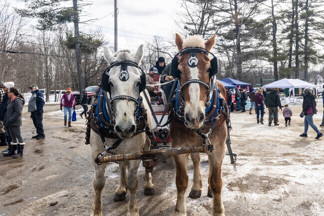Enjoy a horse-drawn ride at the Winter Carnival in Bridgton.