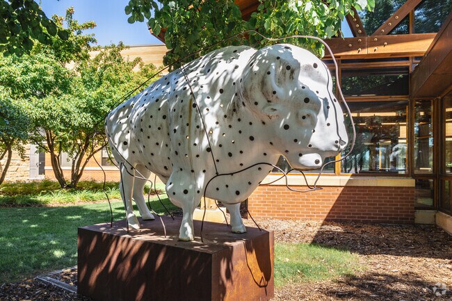 Check out one of the 31 painted buffalos in Fargo at the Microsoft campus near Anderson Park.