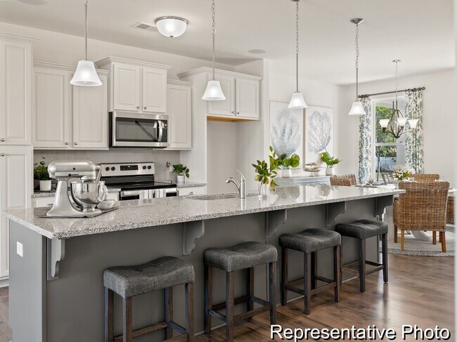 1010 Field Sparrow Dr, Ravenel, SC 29470 - photo 6