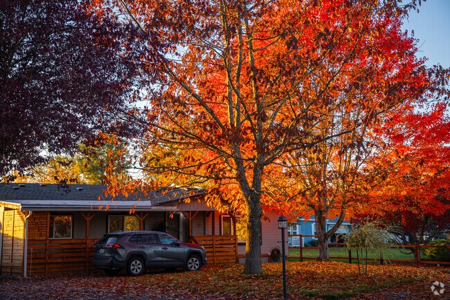 A stunning tree sits beside this charming manufactured home in Prairie Heights.