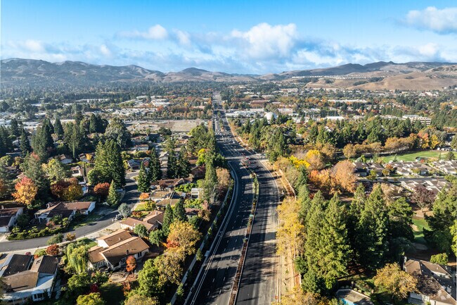 A bustling route, Crow Canyon Road connects San Ramon with nearby towns and nature spots.
