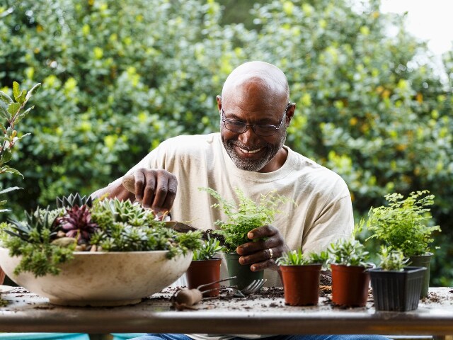 Overture Arboretum 60+ Active Adult Apartment Homes, Austin, TX 78759 - photo 5
