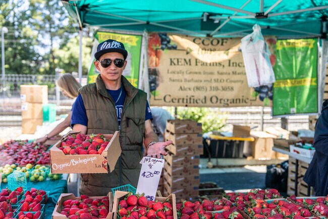 The Mountain View Farmers Market offers fresh fruits and vegetables.