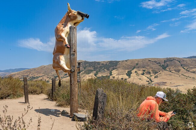 Residents hiking up the Islay Hill are greeted by a statue of a cow with binoculars.