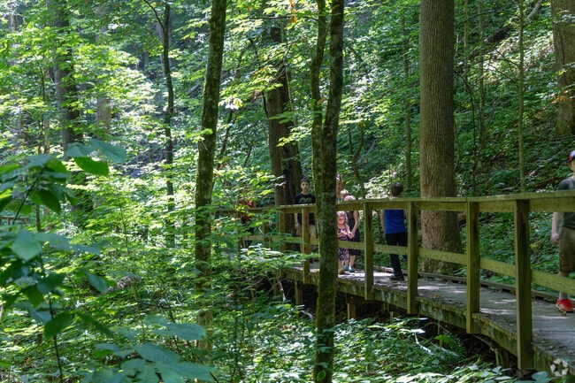 The Pocket Trailhead is a great place near the LaFayette, Georgia, neighborhood of Kensington to get out and explore nature.