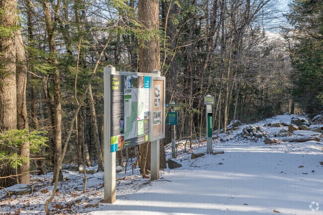 Chapel Brook Falls in Ashfield is a delightful park with miles of trails and a waterfall.