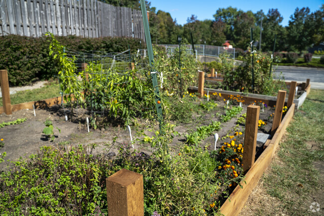 Woodbrook Elementary School has a community garden for more ways to learn in East Carmel.