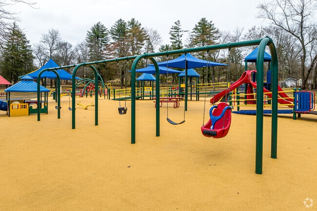 Swings are a popular attraction at South West's Forster Heights Playground.