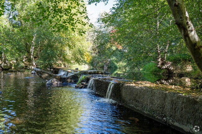 Wimer Creek is a great place to go hiking.