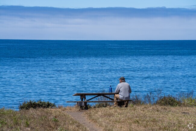 Scenic pause at Davenport Landing, where cliffs meet the Pacific Ocean.