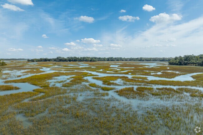 The mash lands surrounding Moss Creek are a truly stunning sight to gaze upon.