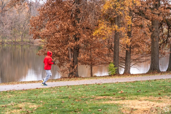 There are fantastic running trails along the water in Spanish Lake Park.