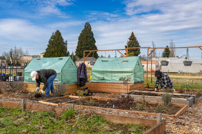 The Heritage Farm provides 20-by-20-foot rental garden plots, master classes, and produces food for hungry families through The Food Bank.